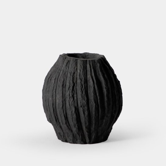 Cauro
